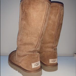 chestnut tall uggs